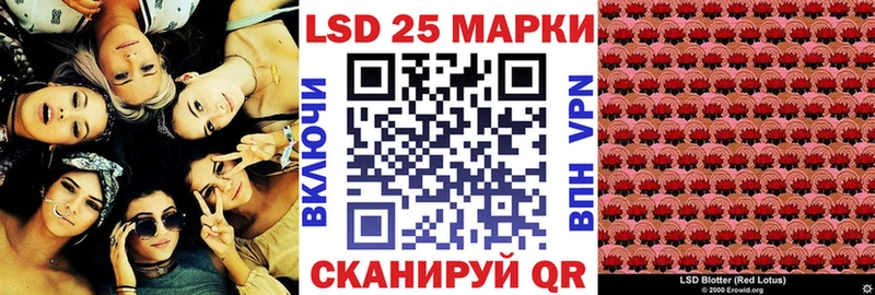 купить наркотики сайты  Новый Уренгой  Наркотические марки 1500мкг 